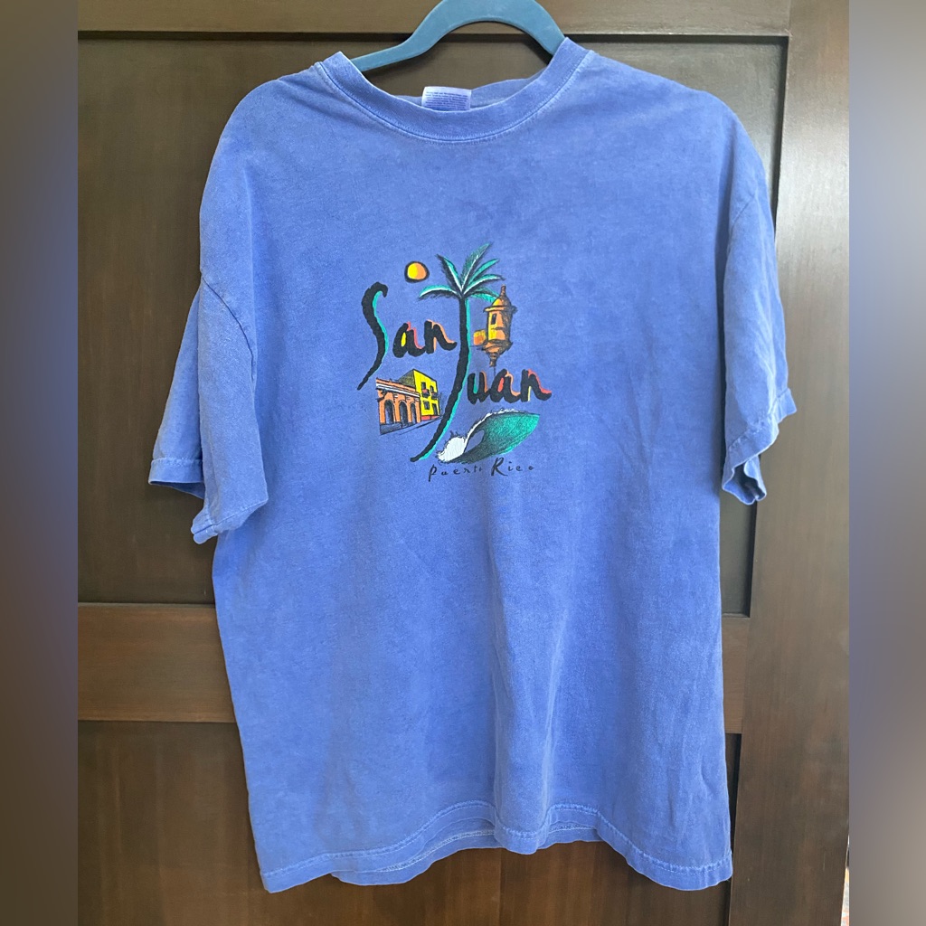 Hanes Heavyweight Graphic T